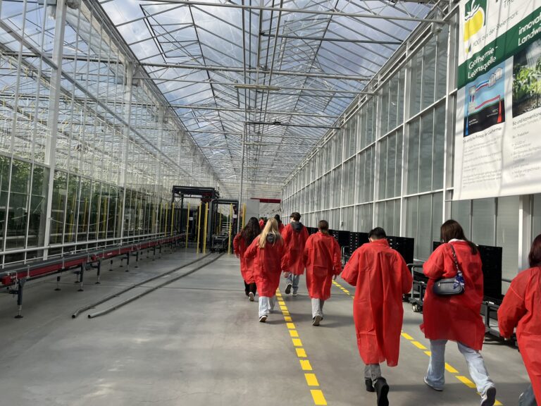 Schülerinnen und Schüler in roten Schutzmänteln auf dem Weg durch das Gewächshaus der Firma Frutura