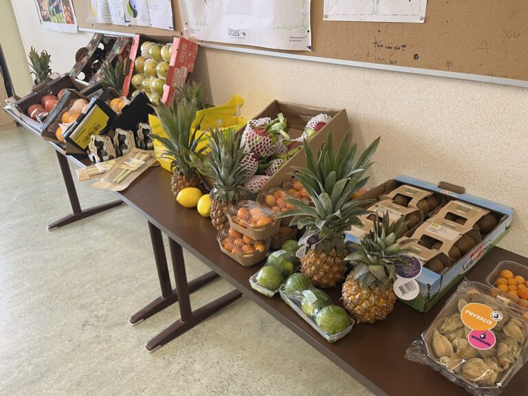 Zwei Tische mit verschiedenen Obstexoten wie zum Beispiel Ananas, Kumquats, Physalis, Zitrone, Limette, Drachenfrucht, Mango